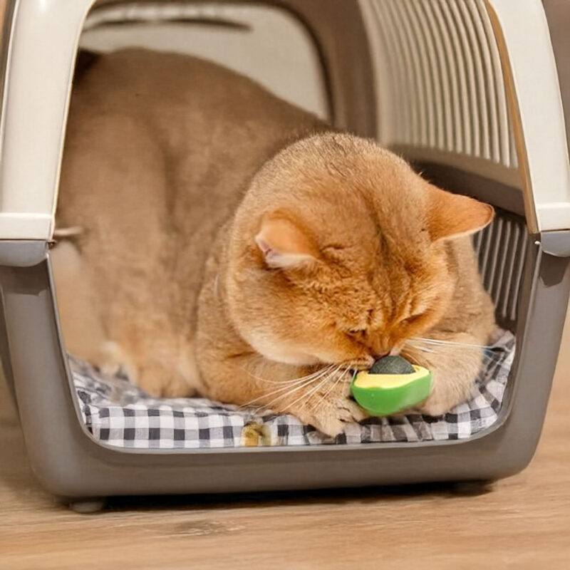 Rotující kočičí hračka AvocadoJoy - Image 6