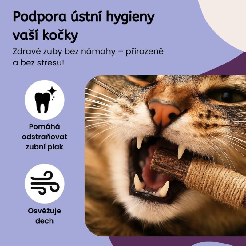 Mručící Tyčinky pro kočky - 3 kusy - Image 3