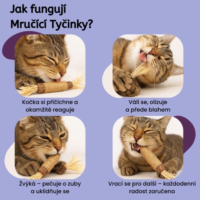 Mručící Tyčinky pro kočky - 3 kusy - Image 2