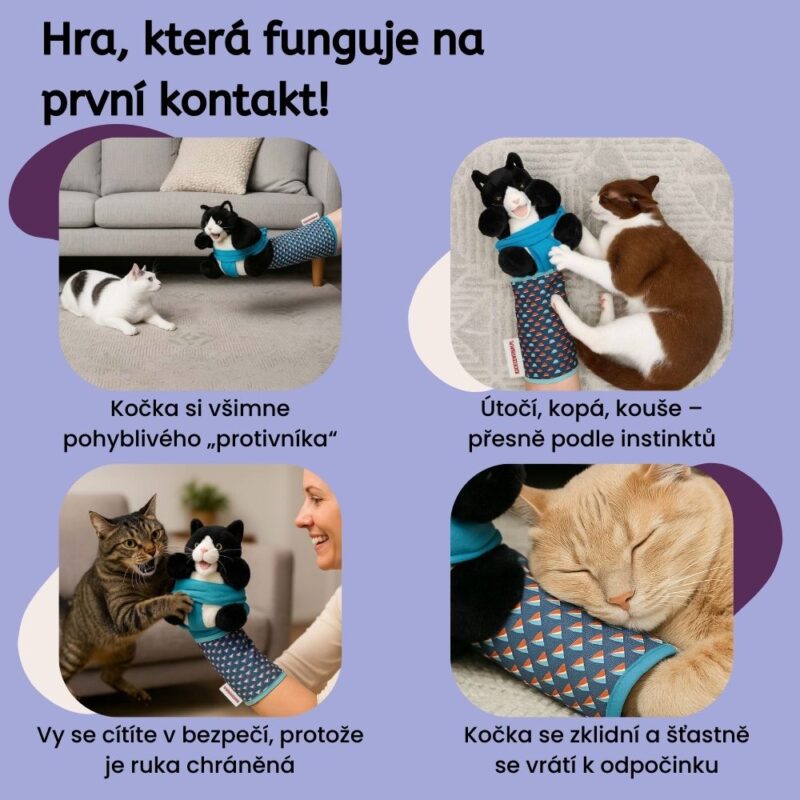 Kočičí Rváč BattleBuddy - Image 4