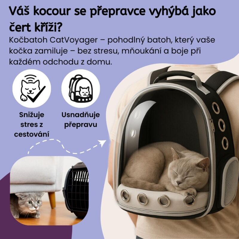 ​​Kočbatoh CatVoyager - Image 2