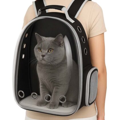 ​​Kočbatoh CatVoyager