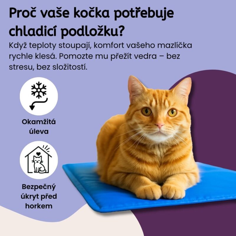 Kočičí chladicí podložka ChillSpot - Image 2