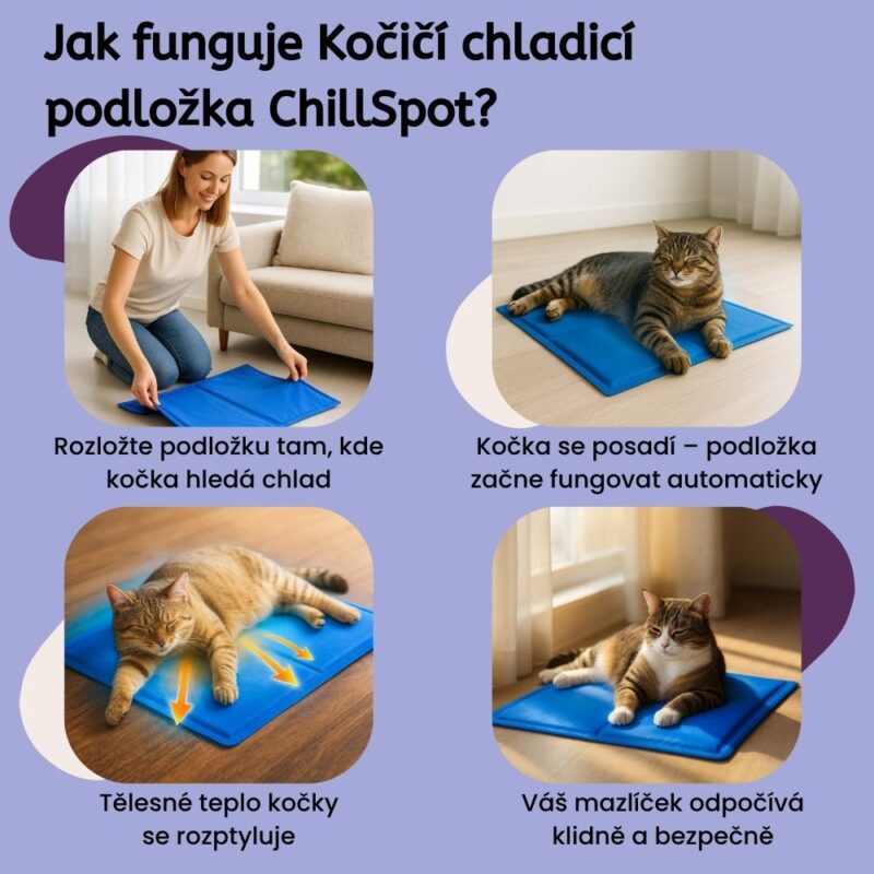 Kočičí chladicí podložka ChillSpot - Image 4