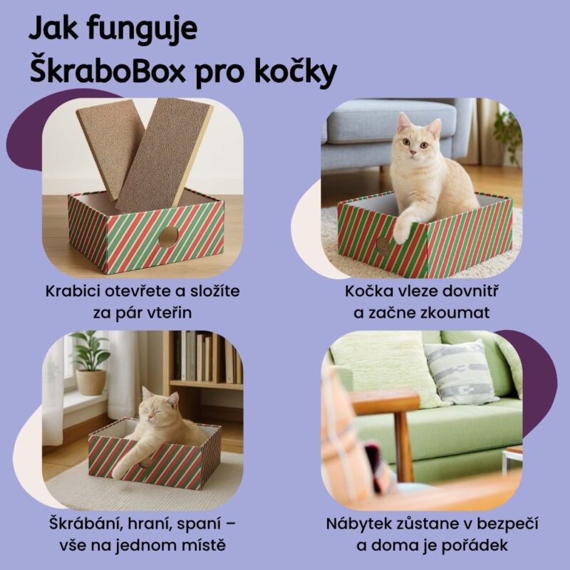 ŠkraboBox pro kočky - Image 4