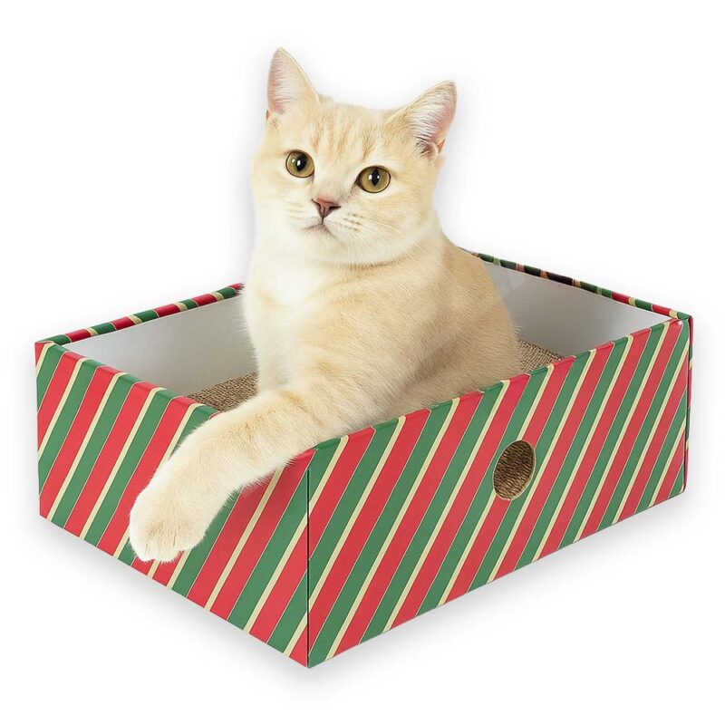 ŠkraboBox pro kočky