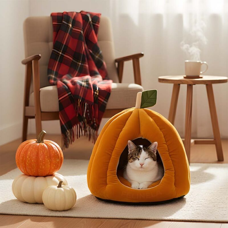 Podzimní pelíšek PumpkinHouse - Image 7