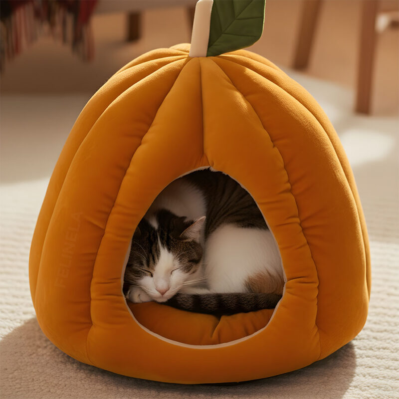 Podzimní pelíšek PumpkinHouse - Image 8