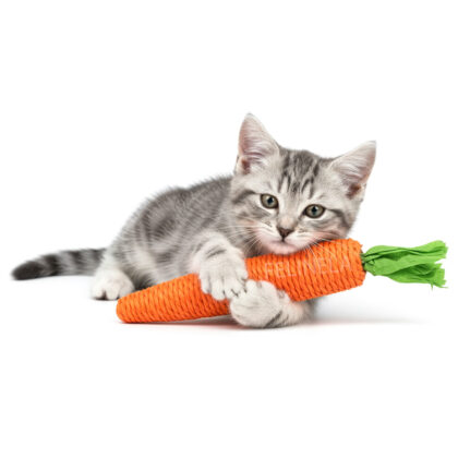 Kočičí Mrkev