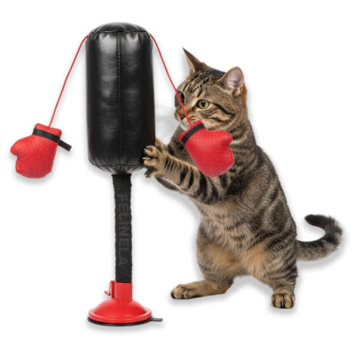 Boxovací pytel pro kočky PunchCat