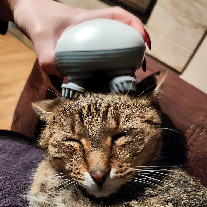 Masážní relaxátor pro kočky
