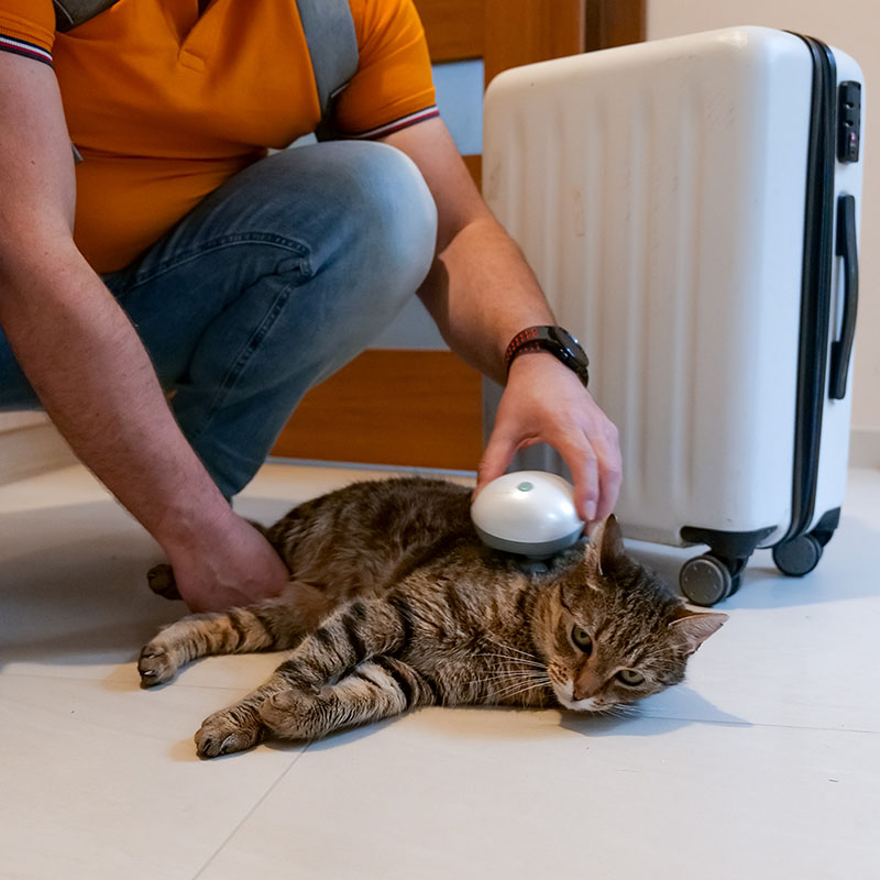 Kompaktní velikost relaxátoru pro kočky