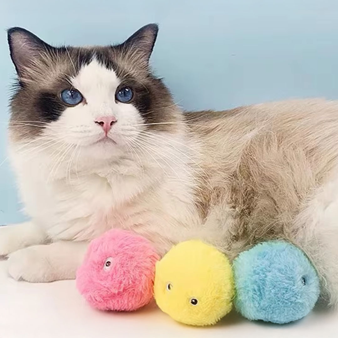 Interaktivní hračka pro bytové kočky