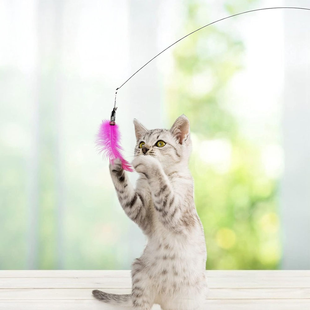 Hračka pro kočky připevněná v různé výšce