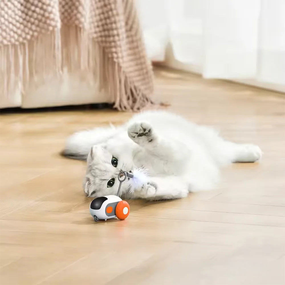 Autíčko PurrRacer pro kočky - Obrázek 8