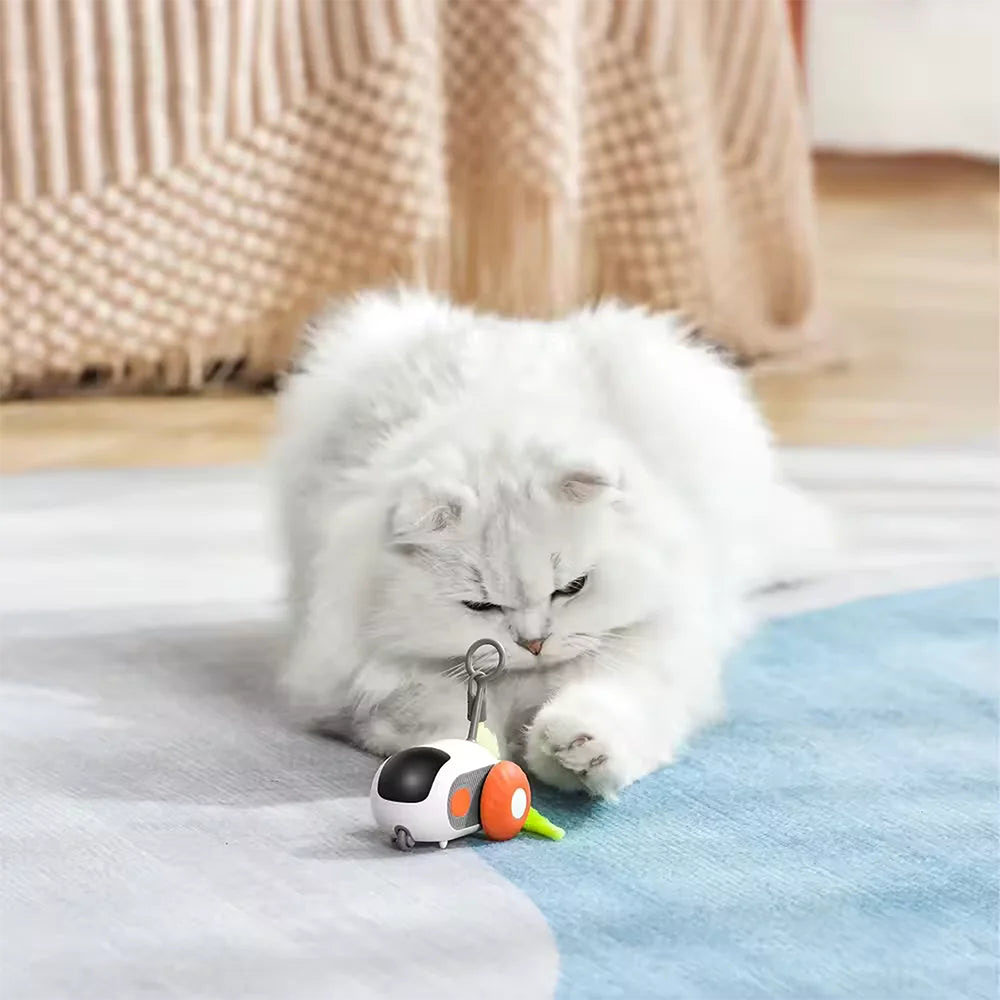 Autíčko PurrRacer pro kočky - Obrázek 9