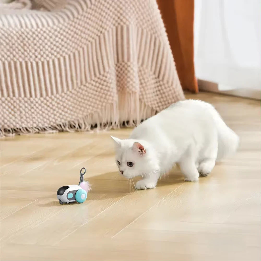 Autíčko PurrRacer pro kočky - Obrázek 10